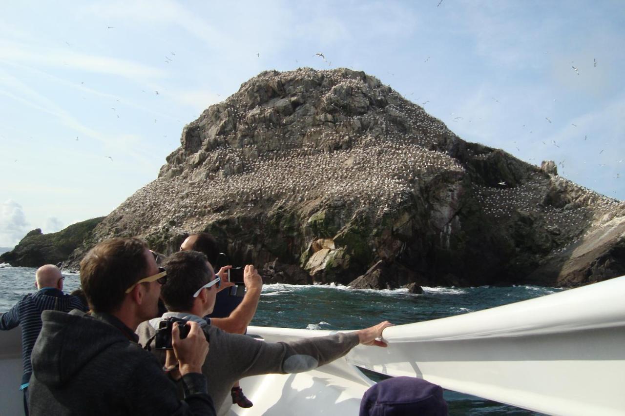 Expose Plein Sud Vu Sur Le Port De Plaisance Perros-Guirec